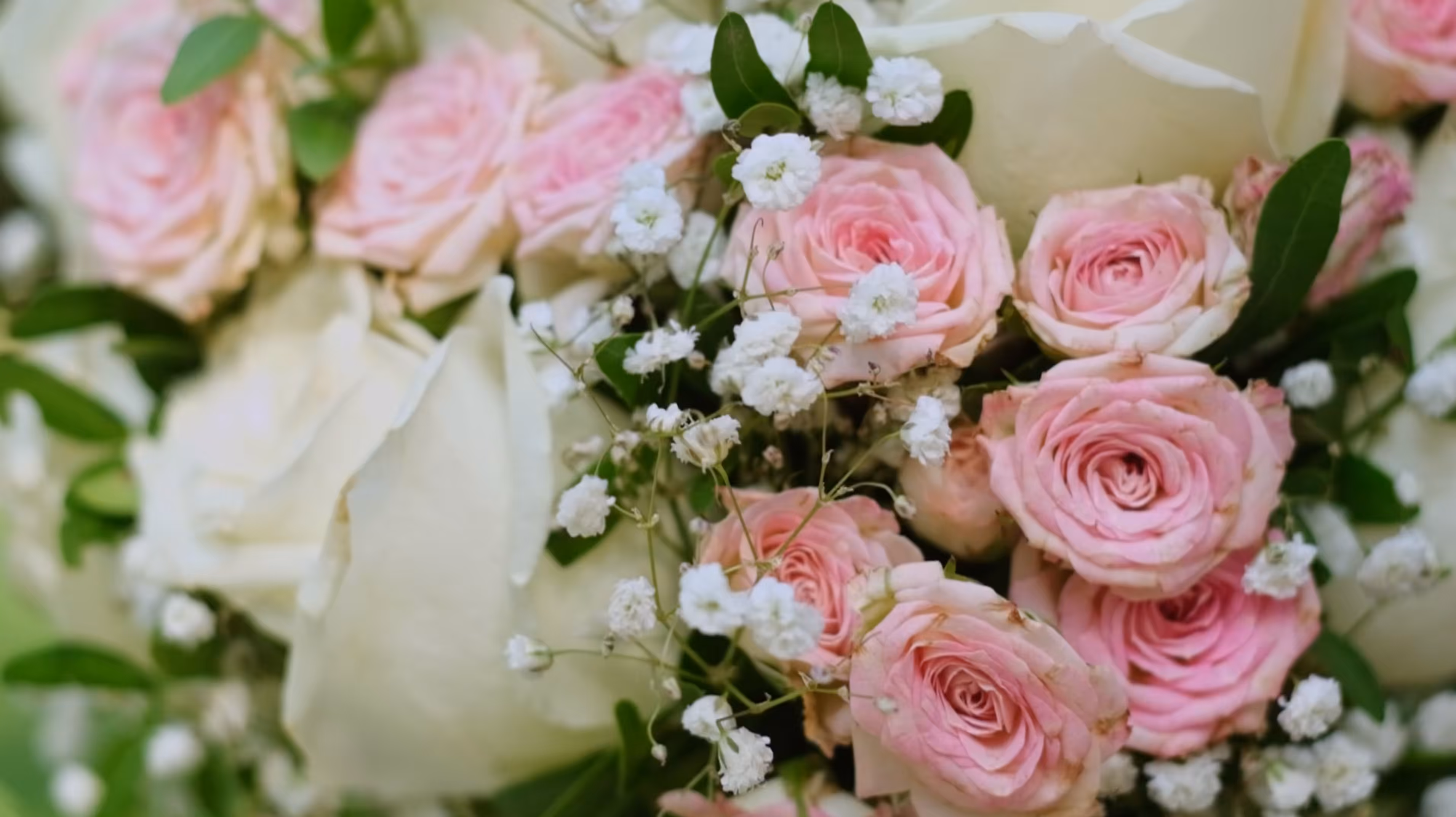 Blooming Belles